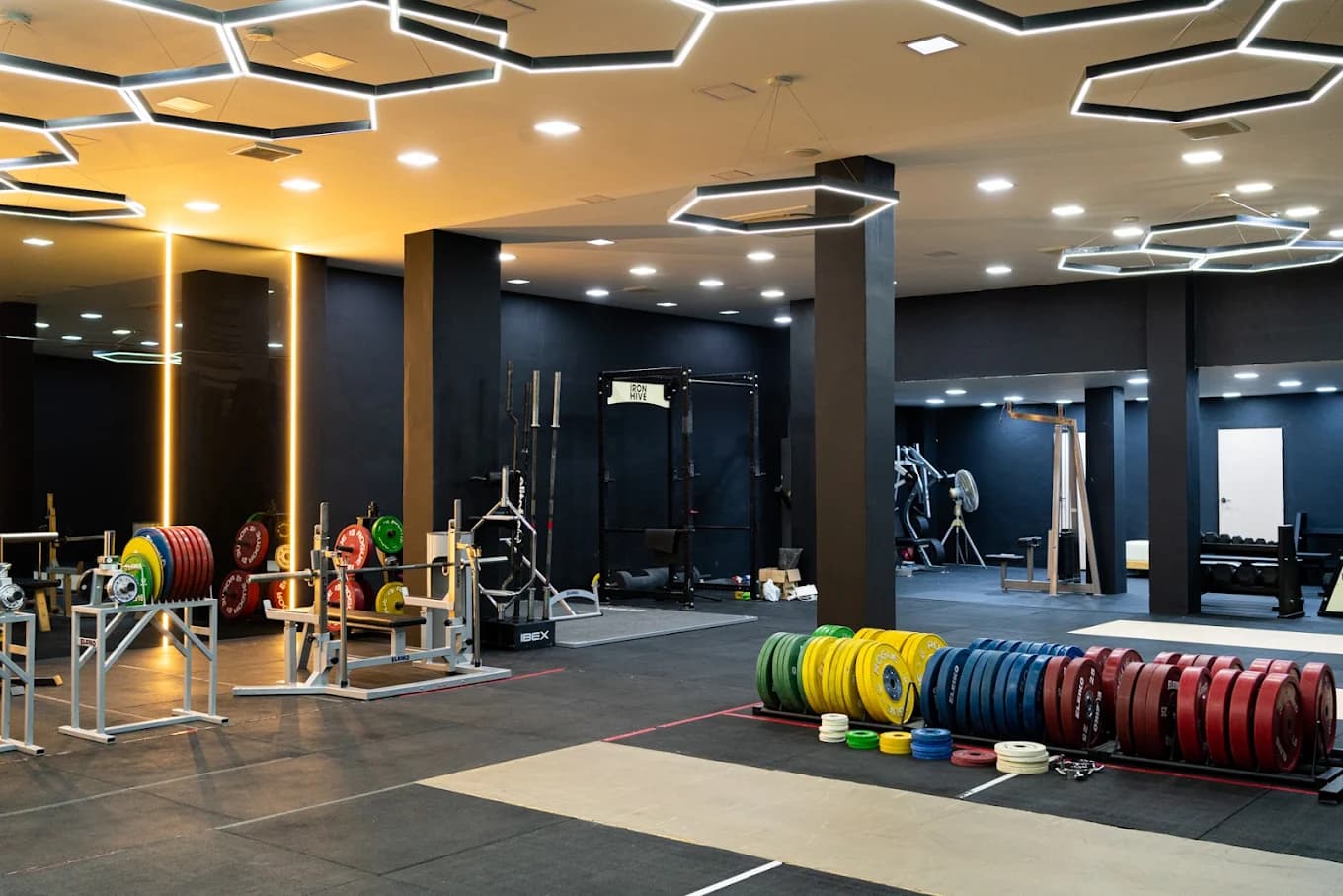 Iron Hive Gym